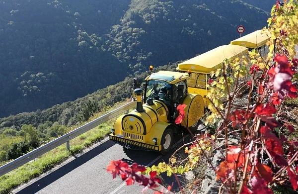 Viticultura heroica en Ribeira Sacra | Paisajes y socalcos milenarios