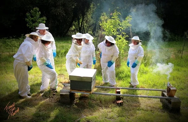 Apiturismo en Ribeira Sacra | Experiencia con abejas