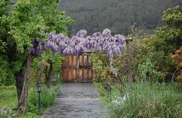 Pacio do Sil | Casa rural tradicional