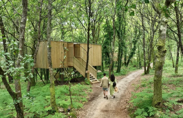 Enoturismo María Manuela | Cabañas entre viñedos