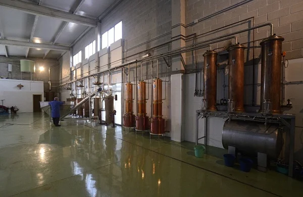 Alquimia y tradición | Alambiques y barricas