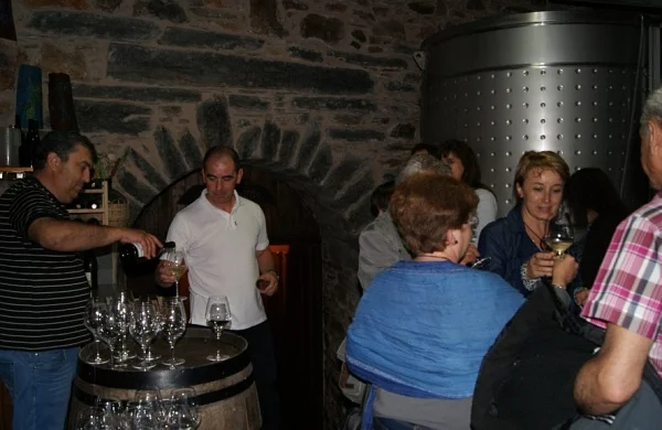 Entre vinos y pizarras de Valdeorras | Paisaje y tradición