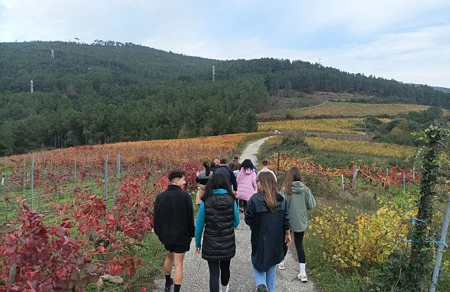 Degusta Valdeorras | Alojamiento y enoturismo