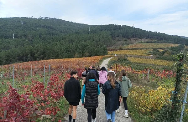 Degusta Valdeorras | Alojamiento y enoturismo