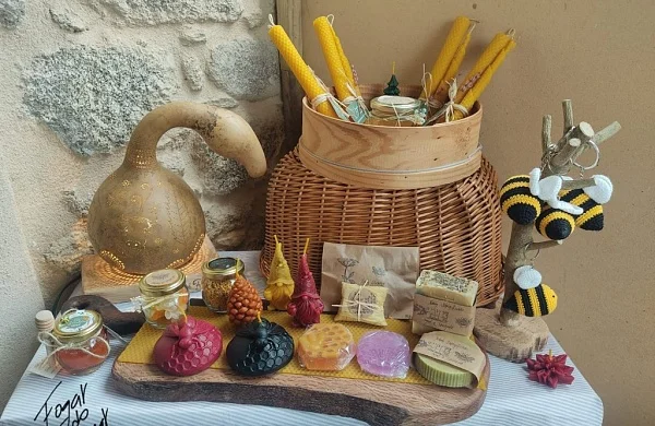 Apiturismo en Ribeira Sacra | Experiencia con abejas