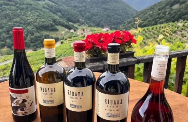 Ribada | Tradición vinícola en Chantada