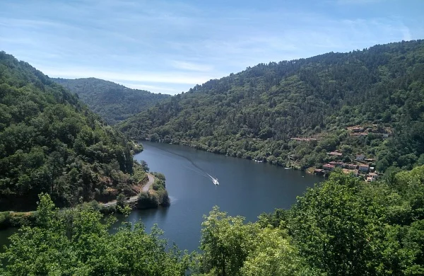 Alquiler de barco en Ribeira Sacra | Experiencia sin titulación