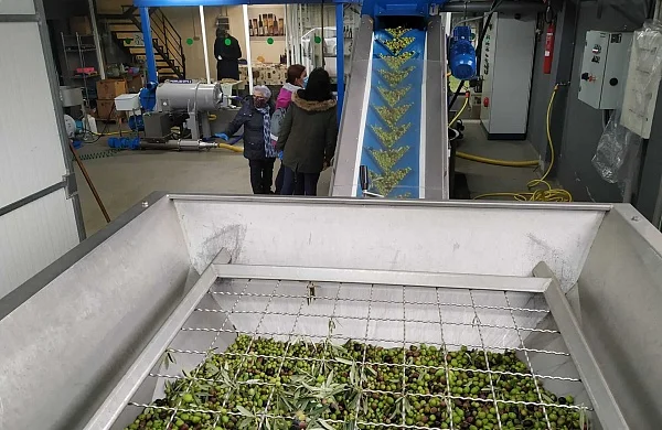 Enoturismo y oleoturismo | Vino y aceite de Galicia