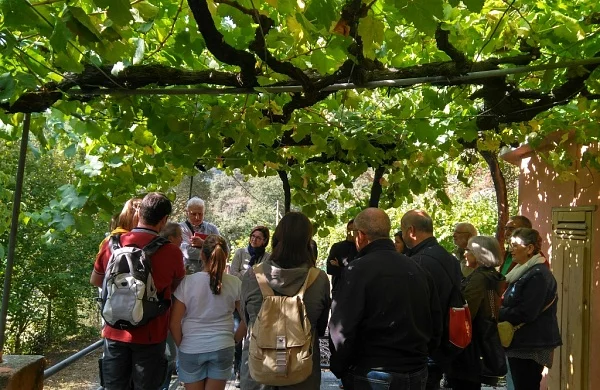Rutas a la carta en Ribeira Sacra | Experiencias personalizadas