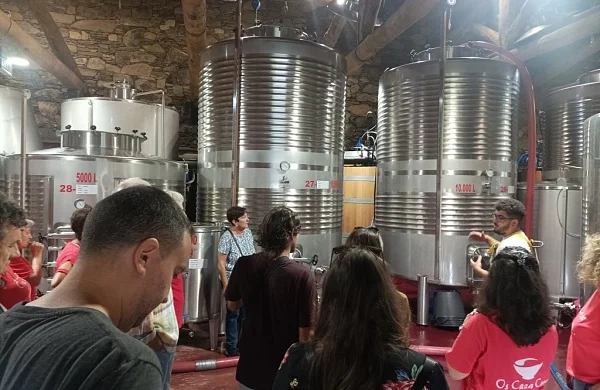 Finca Millara | Bodega entre viñedos del Miño