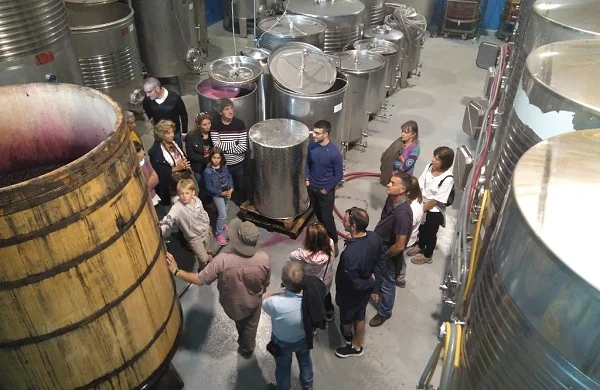 Visita copa en mano en Ribeira Sacra | Degustación directa