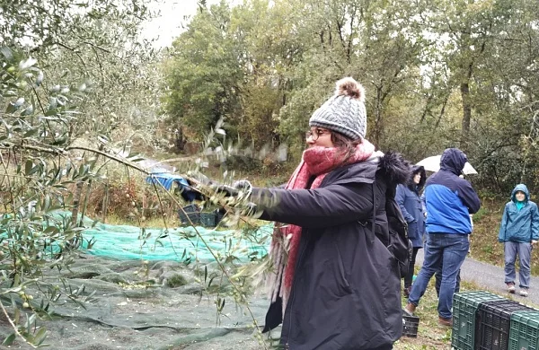 Oleoturismo en Ribeira Sacra | Aceite y tradición