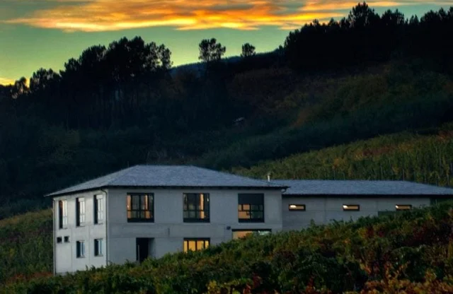 DBerna | Tradición familiar vitivinícola