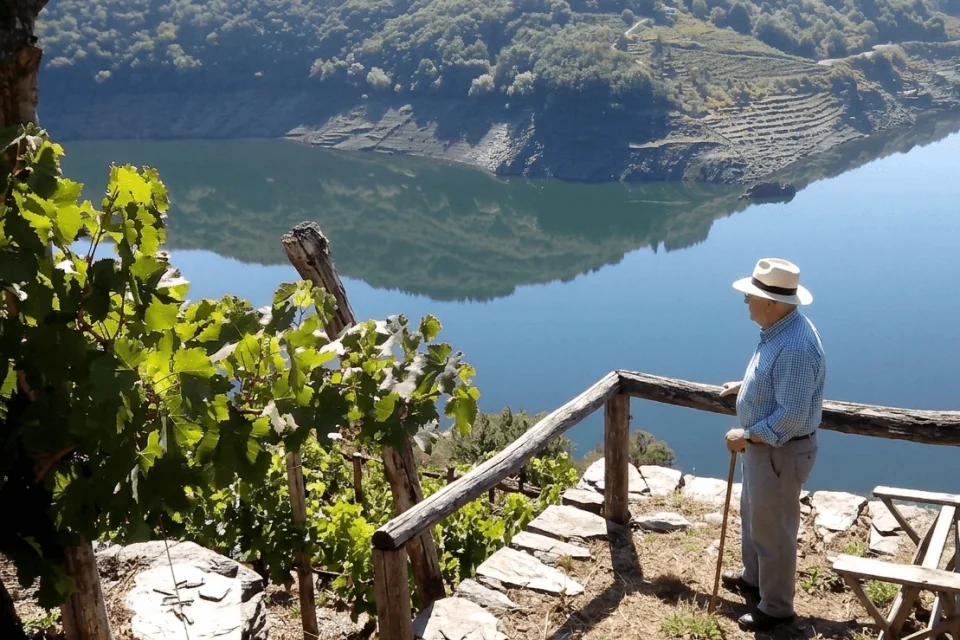 ¿Quieres sorprender a alguien con una experiencia única?