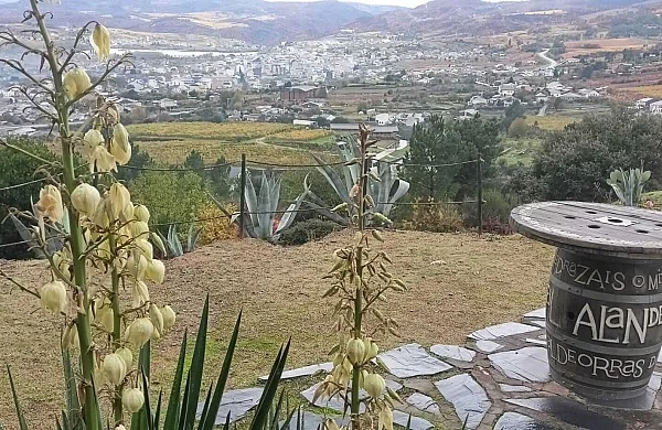 Alan de Val | Bodega artesanal familiar