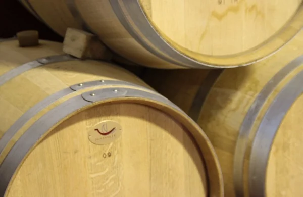 Santa Marta | Vinos de elaboración propia