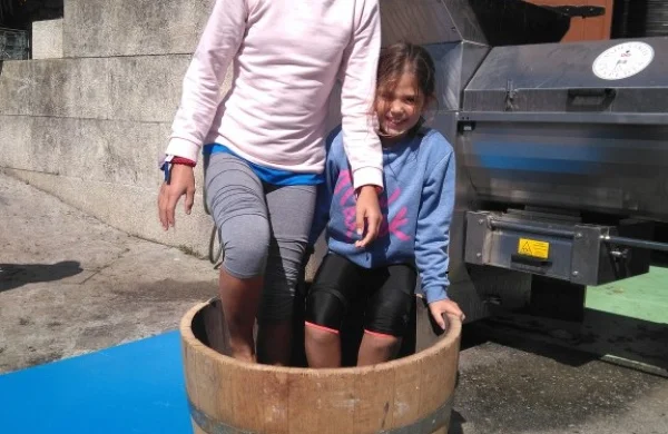 Enoturismo con niños en Ribeira Sacra | Experiencia familiar