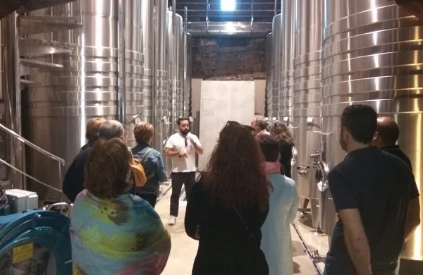 Entre covas de Valdeorras | Vino en espacios tradicionales