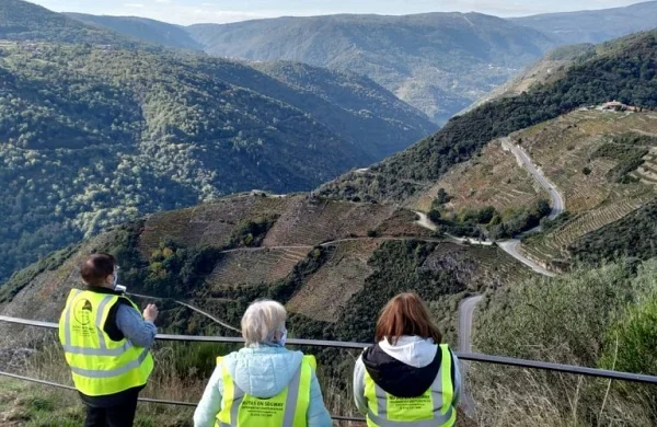 Rutas en segway por Ribeira Sacra | Viñedos y miradores