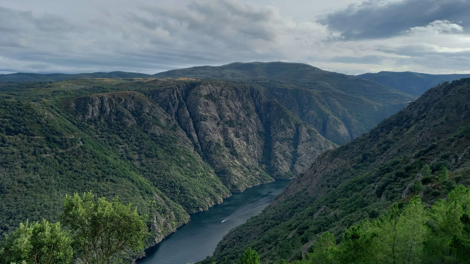 Enoturismo Galicia: Tradición, Calidad y Sabor de Nuestra Tierra