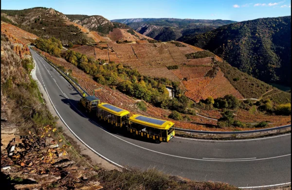 Tren enoturístico en Ribeira Sacra | Recorrido por los Cañones del Sil