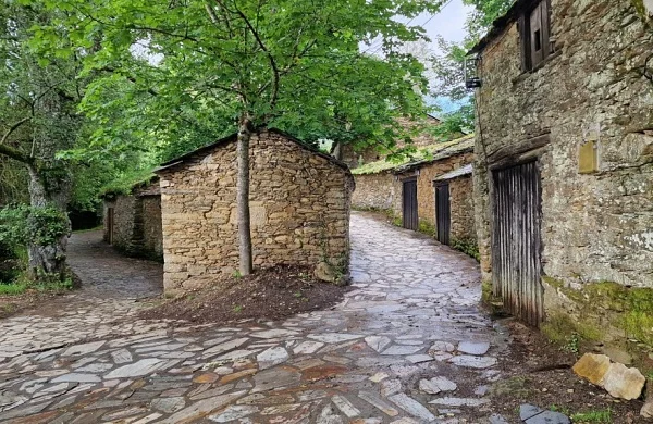 Val do Frade | Vinos de viñedos propios