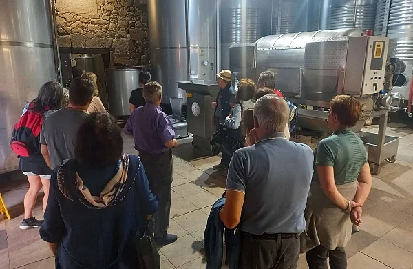 Experiencias únicas en Ribeira Sacra | Cultura y vino